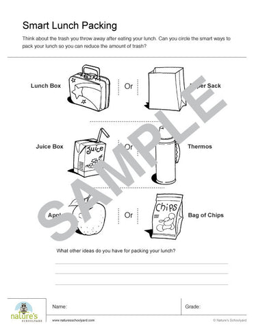 Smart Lunch Packing Activity Page