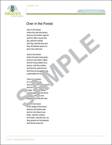 Forest Poem